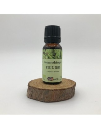 Figuier - Gemmothérapie - 15 ml - Plantaree