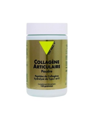 Collagène Articulaire - Collagène Marin Type I & Type II  - 120g  - VitAll+