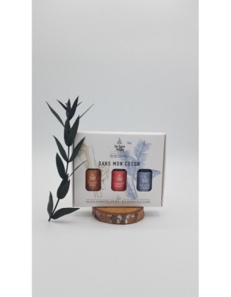 Dans mon Cocon - Coffret aroma synergies - De Saint Hilaire -