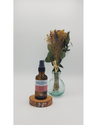 Huile végétale Ricin bio - 50 ml - De Saint Hilaire