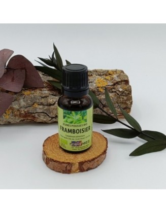 Framboisier - Gemmothérapie - 15 ml - Plantaree