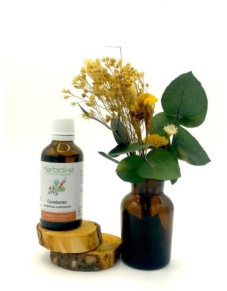 Genévrier - Juniperus communis - bio - 50 ml - Herbiolys
