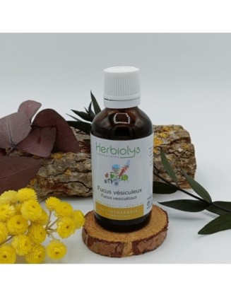 Fucus vésiculeux - Fucus vesiculosus  - Extrait de plantes bio - 50 ml - Herbiolys