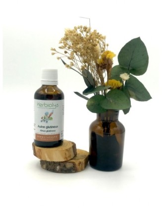 Aulne glutineux- Alnus glutinosa - bio - 50 ml - Herbiolys
